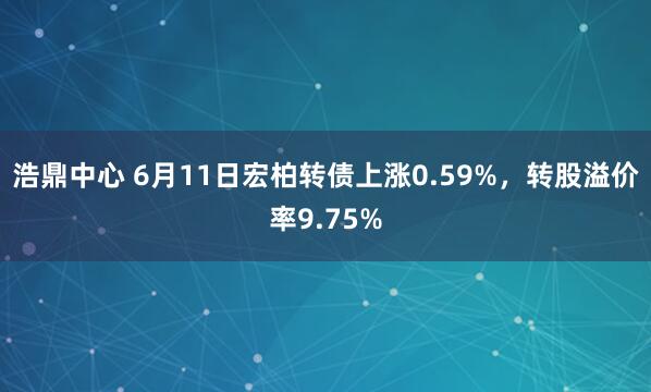 浩鼎中心 6月11日宏柏转债上涨0.59%，转股溢价率9.75%