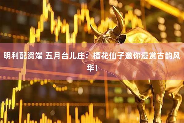 明利配资端 五月台儿庄：榴花仙子邀你漫赏古韵风华！
